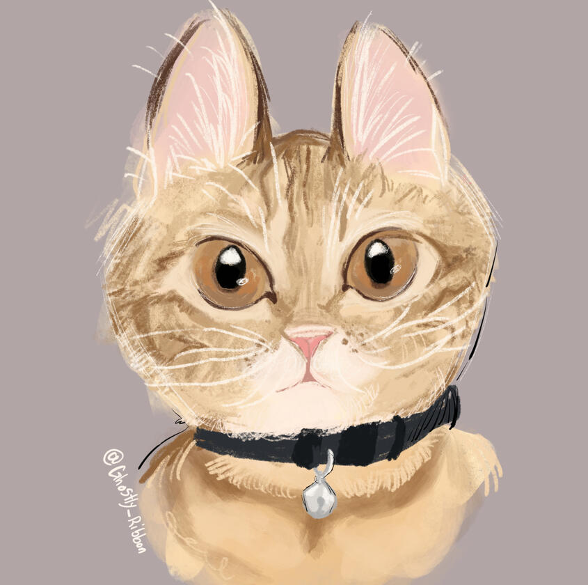 A pet portrait for a friend.